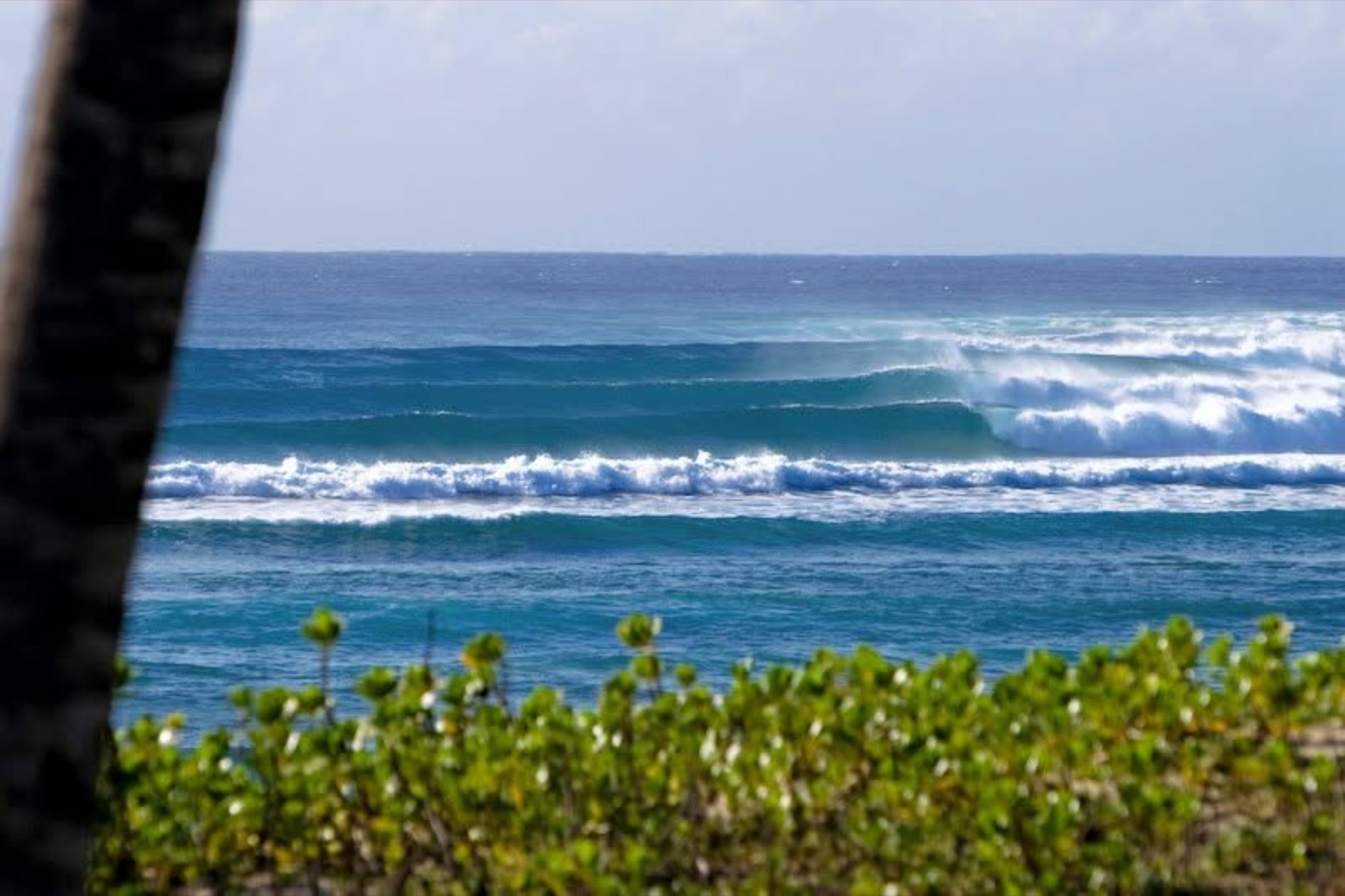 Waves peeling beyond palm trees in Mozambique
