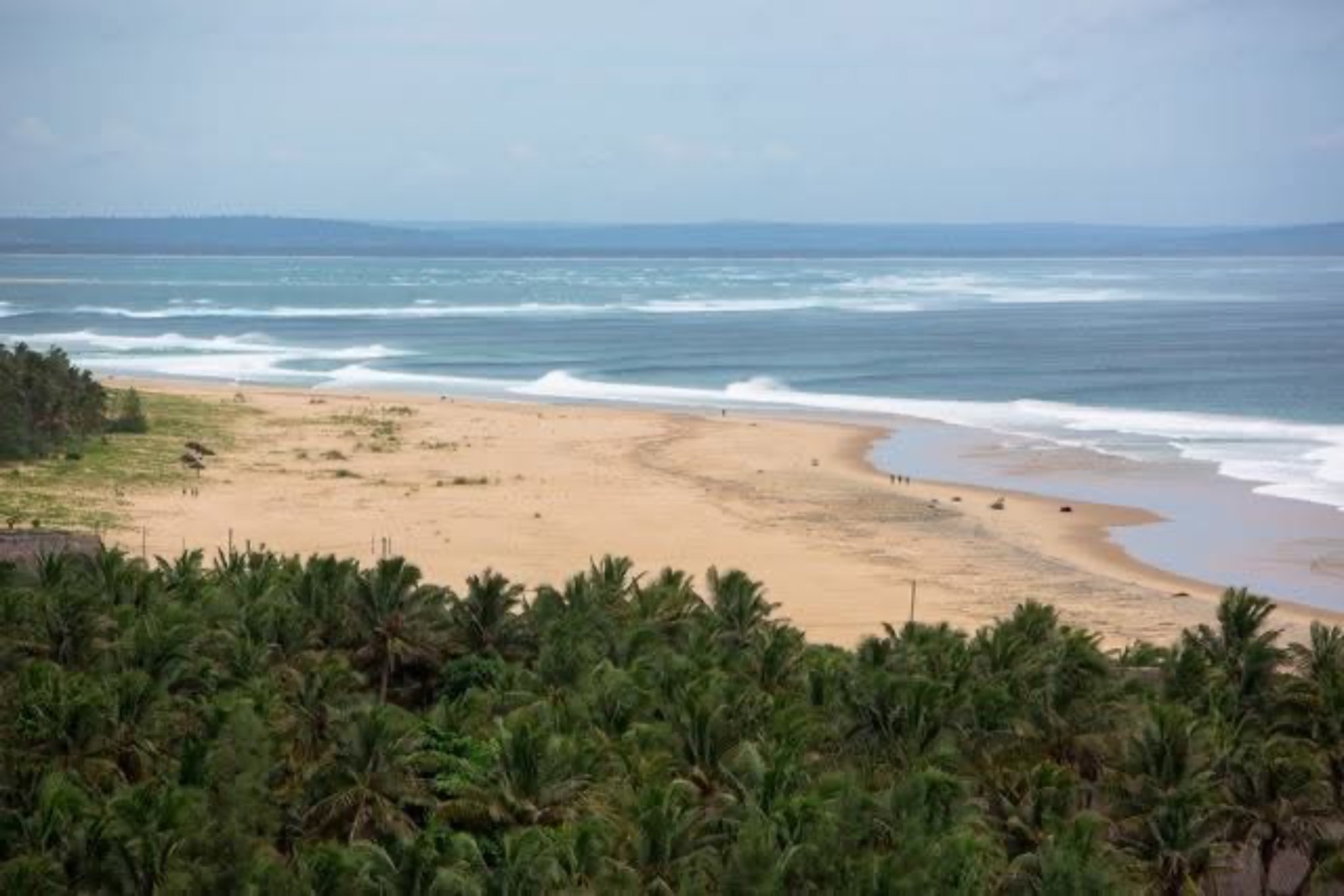 Aerial view of a forested point and empty line-up