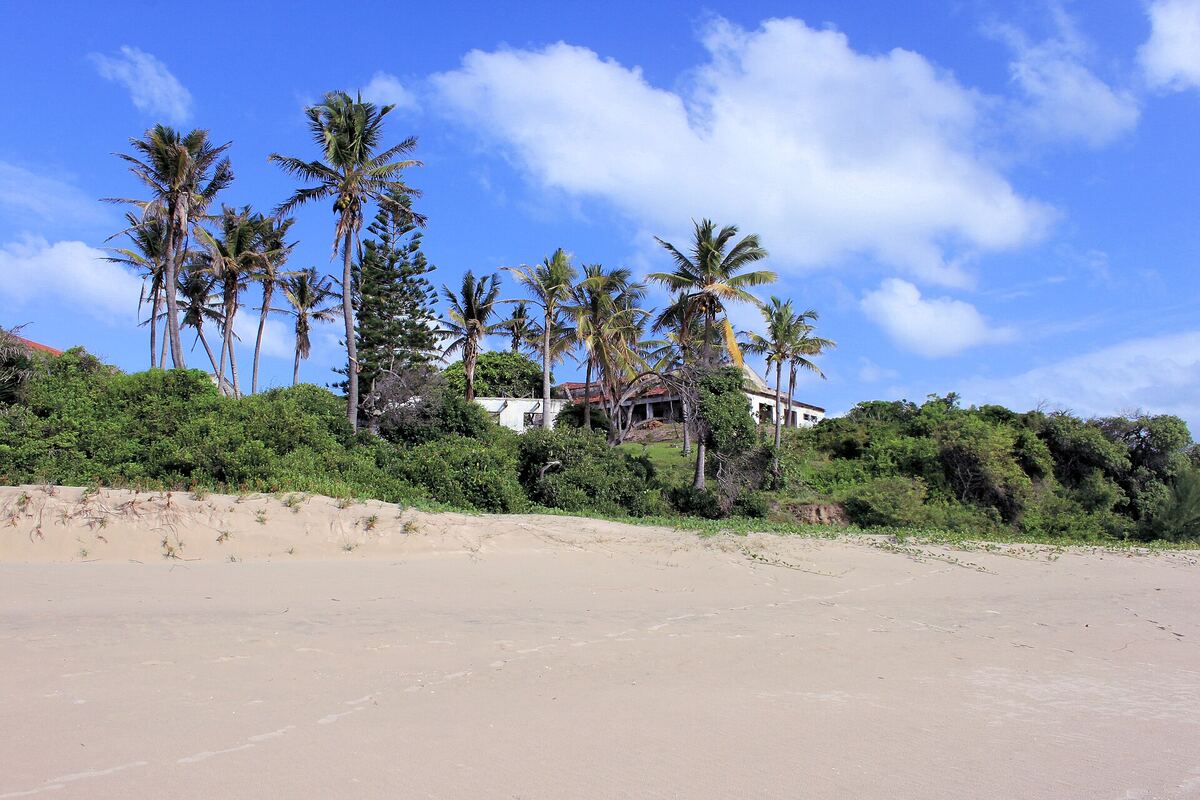 White sand and coconut palms at Pomene under a blue sky
