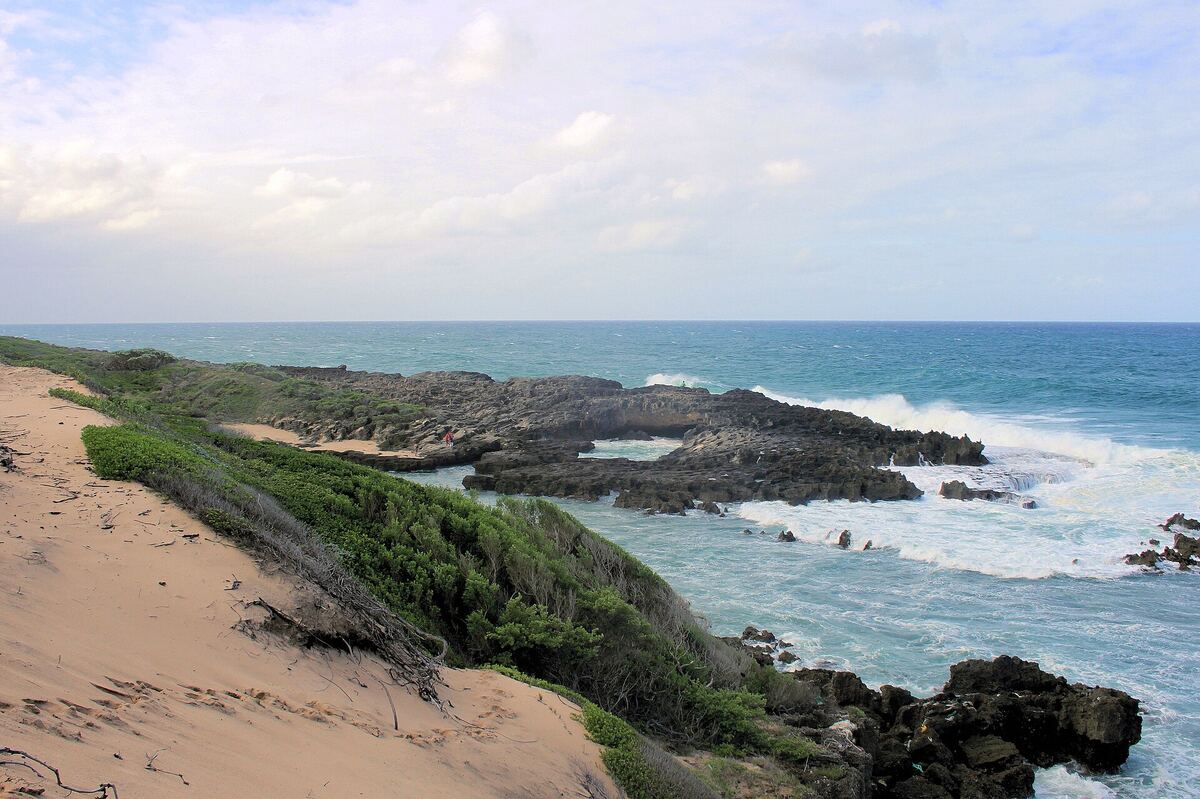 The dune at Pomene running down to the reef on the point, swell breaking